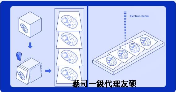 牡丹江蔡司牡丹江扫描电镜