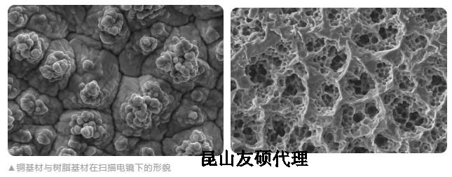 牡丹江蔡司牡丹江扫描电镜