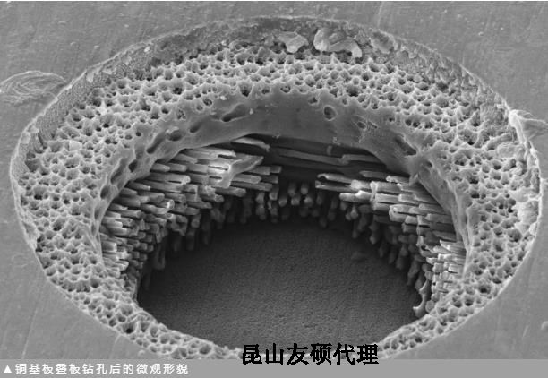 牡丹江蔡司牡丹江扫描电镜